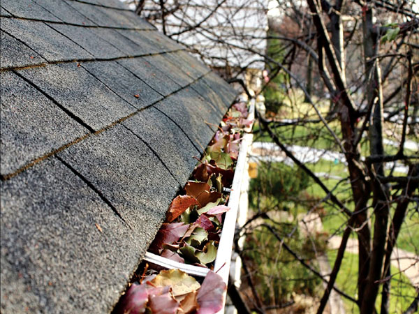 Gutter Cleaning